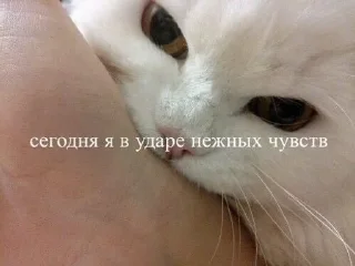 Sticker from для любимых!! <3