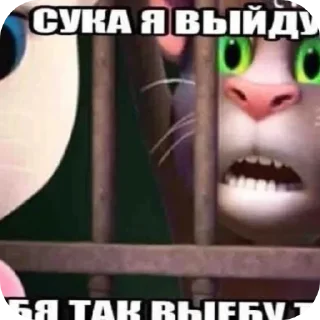 Sticker from СУКА Я ВЫЙДУ Я ТЕБЯ ТАК ВЫЕБУ