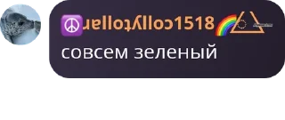 🐨 emoji Через 5 минут чтоб был 🥒 Telegram sticker 13 of 80