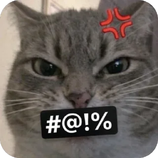 🫥 emoji БОЛЬШЕ ⇨ @CLOOBHUB КОТ МЕМЫ СТИКЕРЫ CUPHEAD ТГ TG Telegram sticker 17 of 32