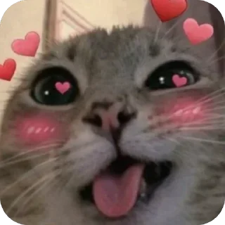 🫥 emoji БОЛЬШЕ ⇨ @CLOOBHUB КОТ МЕМЫ СТИКЕРЫ CUPHEAD ТГ TG Telegram sticker 5 of 32