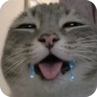 🫥 emoji БОЛЬШЕ ⇨ @CLOOBHUB КОТ МЕМЫ СТИКЕРЫ CUPHEAD ТГ TG Telegram sticker 22 of 32