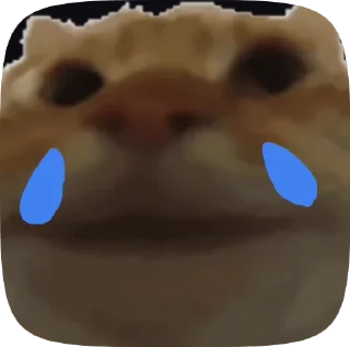 🌟 emoji Чозапизде Telegram sticker 4 of 52
