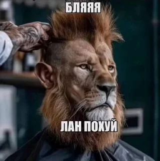 🌟 emoji Лелеле тушканчешье залежье Telegram sticker 20 of 112