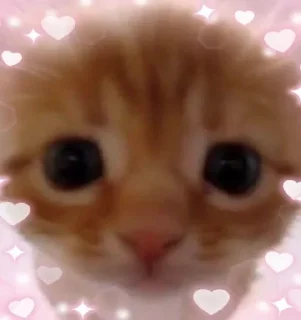 🎲 emoji вжвжвжжв Telegram sticker 11 of 31