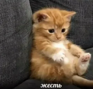 🎲 emoji вжвжвжжв Telegram sticker 8 of 31