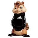 😎 emoji ADIDAS BOYS Telegram sticker 7 of 20