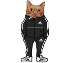 😳 emoji ADIDAS BOYS Telegram sticker 5 of 20