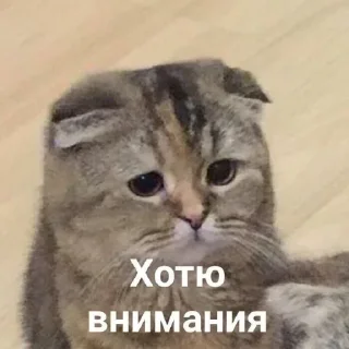 🥺 emoji B) @TgEmodziBot Telegram sticker 20 of 63