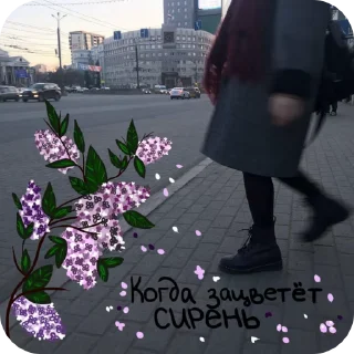 Sticker from Алёна Швец