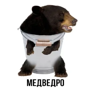 Sticker from @FULLSITION <- БОЛЬШЕ