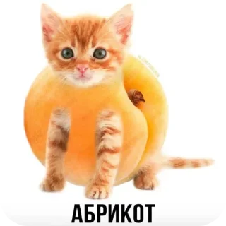 💩 emoji @FULLSITION <- БОЛЬШЕ Telegram sticker 18 of 59