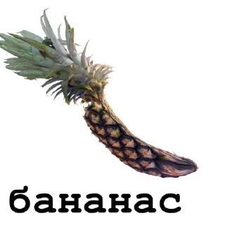 💩 emoji @FULLSITION <- БОЛЬШЕ Telegram sticker 9 of 59