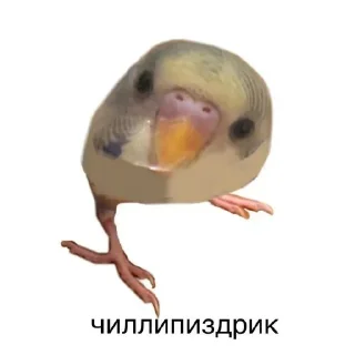 💩 emoji @FULLSITION <- БОЛЬШЕ Telegram sticker 13 of 59