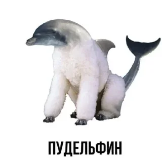 💩 emoji @FULLSITION <- БОЛЬШЕ Telegram sticker 21 of 59