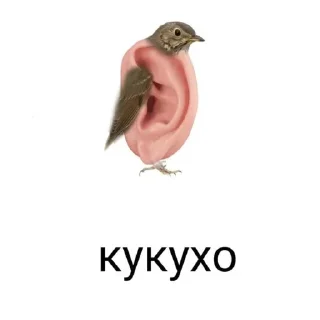 💩 emoji @FULLSITION <- БОЛЬШЕ Telegram sticker 17 of 59