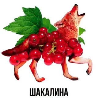 Sticker from @FULLSITION <- БОЛЬШЕ