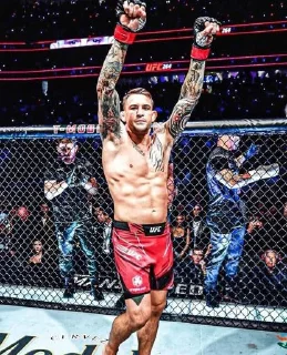⭐️ emoji UFC @Stikerhi_bot Telegram sticker 13 of 19