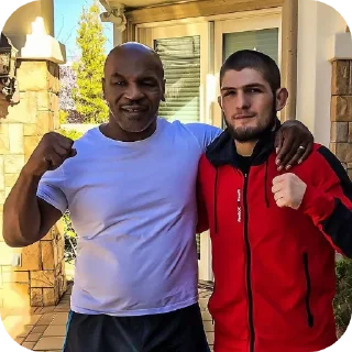 🧥 emoji UFC @Stikerhi_bot Telegram sticker 14 of 19