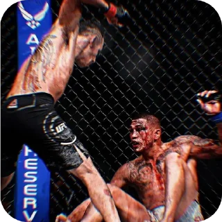 🎫 emoji UFC @Stikerhi_bot Telegram sticker 17 of 19