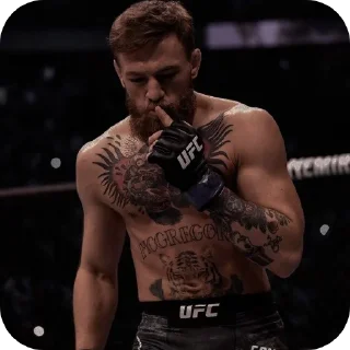 💪 emoji UFC @Stikerhi_bot Telegram sticker 19 of 19