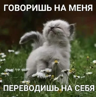 Sticker from котики - наркотики