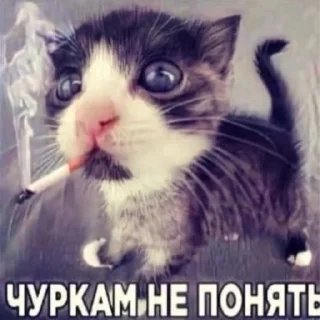 Sticker from нарКотики