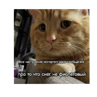 🐱 emoji Котики наркотики Telegram sticker 8 of 86