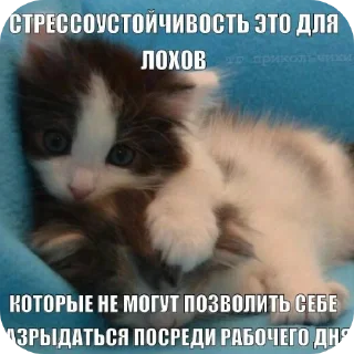 Sticker from котики-наркотики