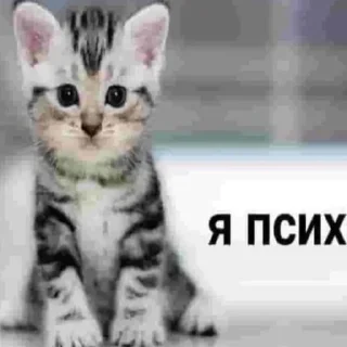 Sticker from нарКотики
