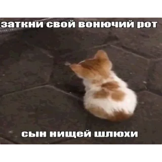 Sticker from Злые наркотики