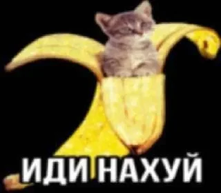 ❤️ emoji @STICKRULE <- БОЛЬШЕ Telegram sticker 12 of 20