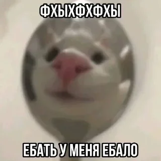 😅 emoji @STICKRULE <- БОЛЬШЕ Telegram sticker 6 of 20