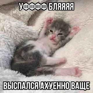 😏 emoji @STICKRULE <- БОЛЬШЕ Telegram sticker 1 of 20
