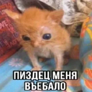 😳 emoji @STICKRULE <- БОЛЬШЕ Telegram sticker 16 of 20
