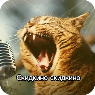 👍 emoji Котики наркотики Telegram sticker 16 of 86