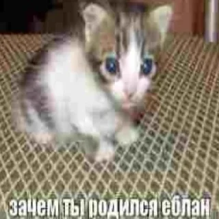 Sticker from нарКотики