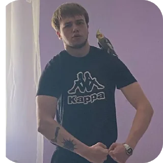 Sticker from Бро.
