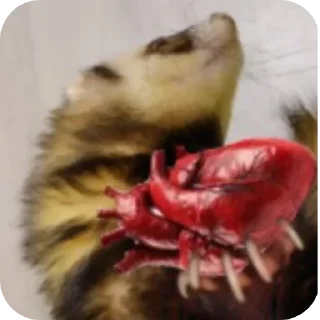 🔪 emoji Хорьке & Ferrets Telegram sticker 18 of 37