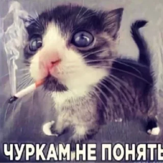 🤫 emoji стикеры Насти Telegram sticker 5 of 17