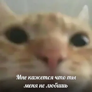 🌟 emoji стикеры Насти Telegram sticker 9 of 17