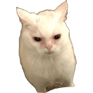 😺 emoji Trash Bin Telegram sticker 6 of 21