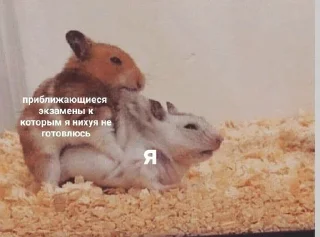 Sticker from Ебучая шарага