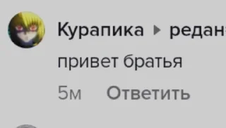 Sticker from чвк «курапика не бей пожалуйста»