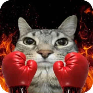 Sticker from Кот Зазу от @Dobendan