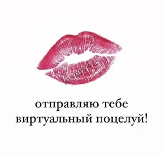 wwww sticker 1