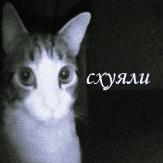 Sticker from Ээээ бля