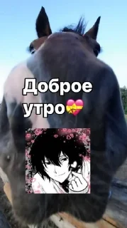 Sticker from Женечка