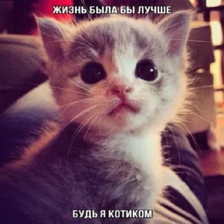 👍 emoji жопа Telegram sticker 11 of 34