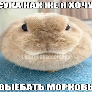 👍 emoji жопа Telegram sticker 15 of 34